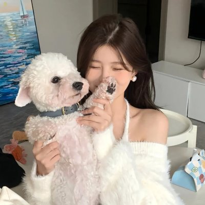 少数意见